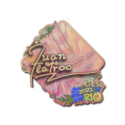 Sticker | juanflatroo (Holo) | Rio 2022