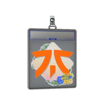 Sticker Slab | Fnatic | Rio 2022