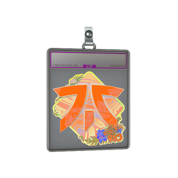 Sticker Slab | Fnatic (Holo) | Rio 2022