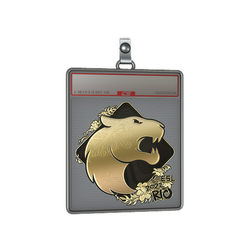 Sticker Slab | FURIA (Gold) | Rio 2022