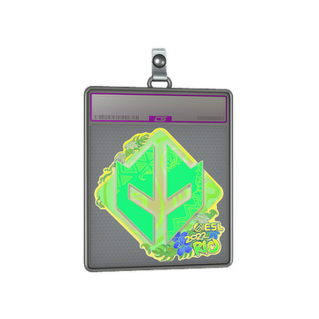 Sticker Slab | Imperial Esports (Holo) | Rio 2022