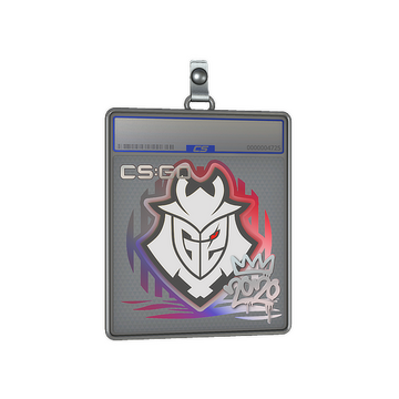 Sticker Slab | G2 | 2020 RMR