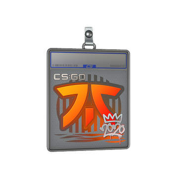 Sticker Slab | Fnatic | 2020 RMR