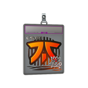 Sticker Slab | Fnatic (Foil) | 2020 RMR