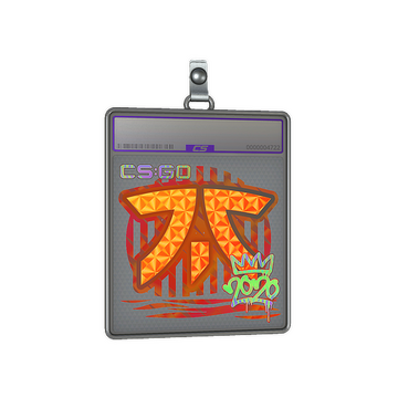 Sticker Slab | Fnatic (Holo) | 2020 RMR