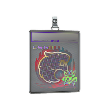 Sticker Slab | FURIA (Holo) | 2020 RMR