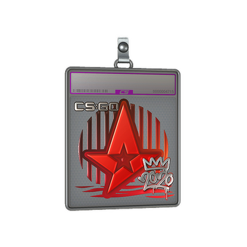 Sticker Slab | Astralis (Foil) | 2020 RMR