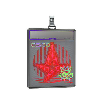 Sticker Slab | Astralis (Holo) | 2020 RMR