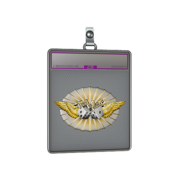 Sticker Slab | Luck Skill (Foil)