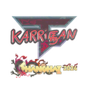 Sticker | karrigan (Holo) | Shanghai 2024