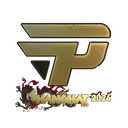 Sticker | paiN Gaming (Gold) | Shanghai 2024