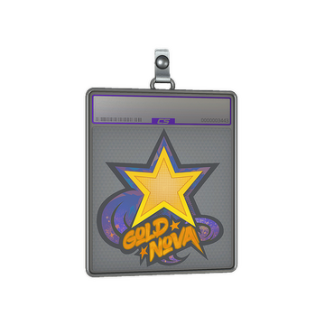 Sticker Slab | Gold Nova (Holo)