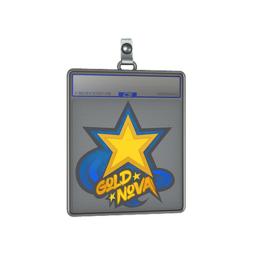 Sticker Slab | Gold Nova