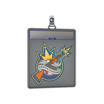 Sticker Slab | Master Guardian