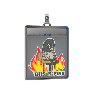 Sticker Slab | This Is Fine (T)
