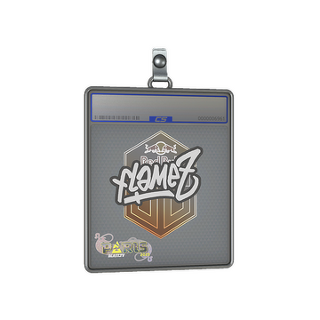 Sticker Slab | FlameZ | Paris 2023