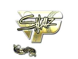 EXEDEXES／GOLD MEMBERS STICKER EXEDEXES／GOLD MEMBERS STICKER Fc Exed Exes Gold Sticker