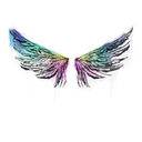 Sealed Graffiti | Wings