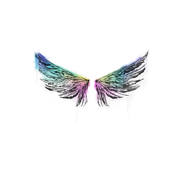 Sealed Graffiti | Wings