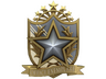 2022 Service Medal