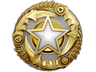 2025 Service Medal