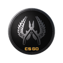 Guardian Elite Pin