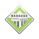 Baggage Pin