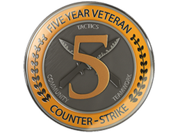 5 Year Veteran Coin
