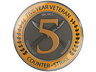 5 Year Veteran Coin