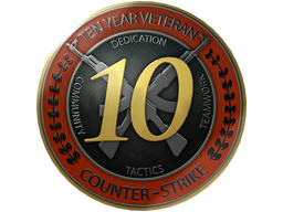 10 Year Veteran Coin